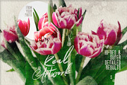 SALE The Ultimate Watercolor Creator, a Brushes & More by Cruzine (Thumbnail 10 of 42)