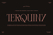 Terquiny - Modern Luxury Serif, a Serif Font by Shapespired Design (Thumbnail 1 of 17)
