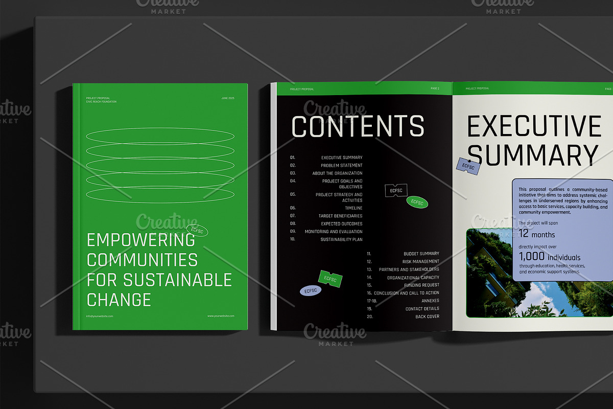 NGO Project Proposal preview 2