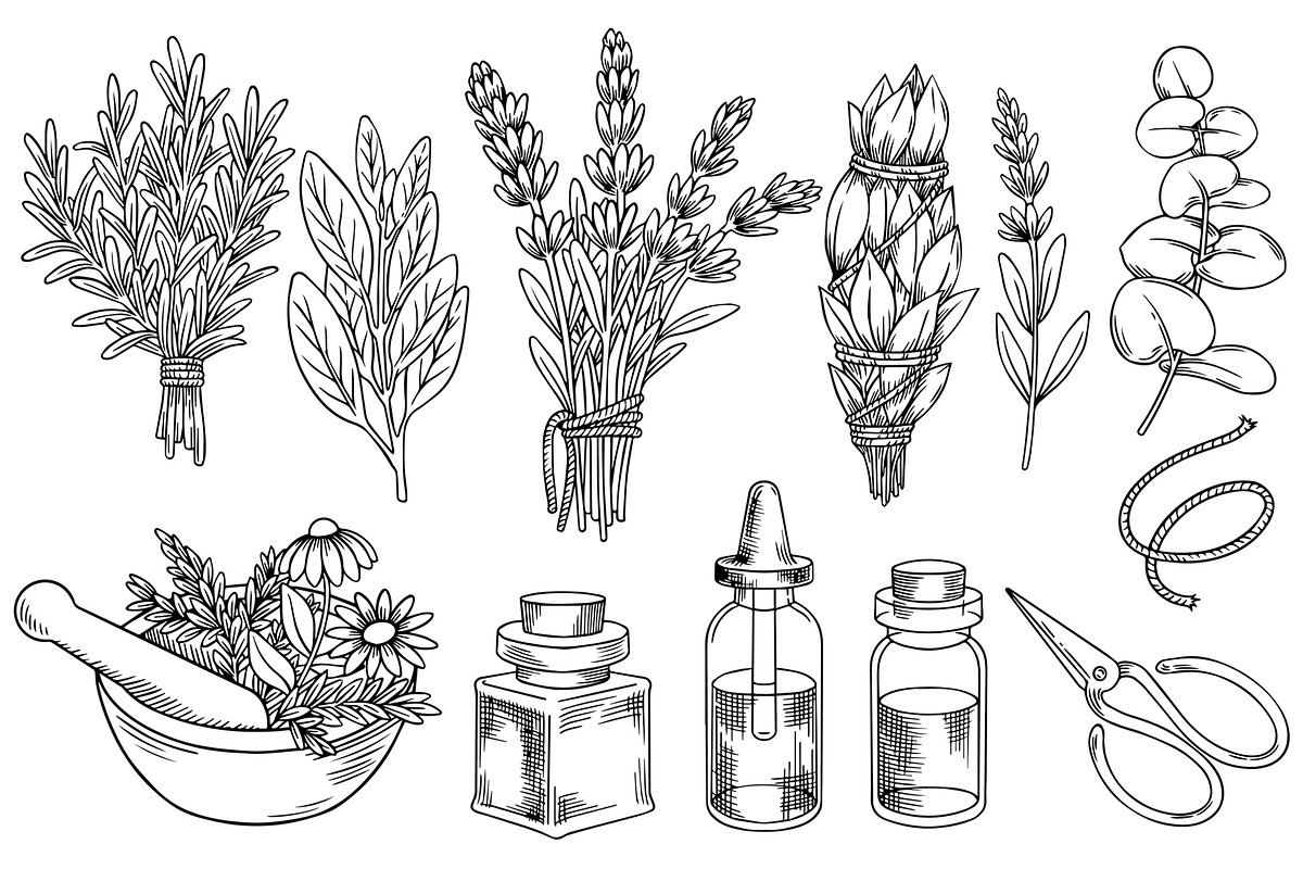 Aromatherapy. Medicinal herbs, a Healthcare Illustration by made by Tanya (Photo 2 of 6)