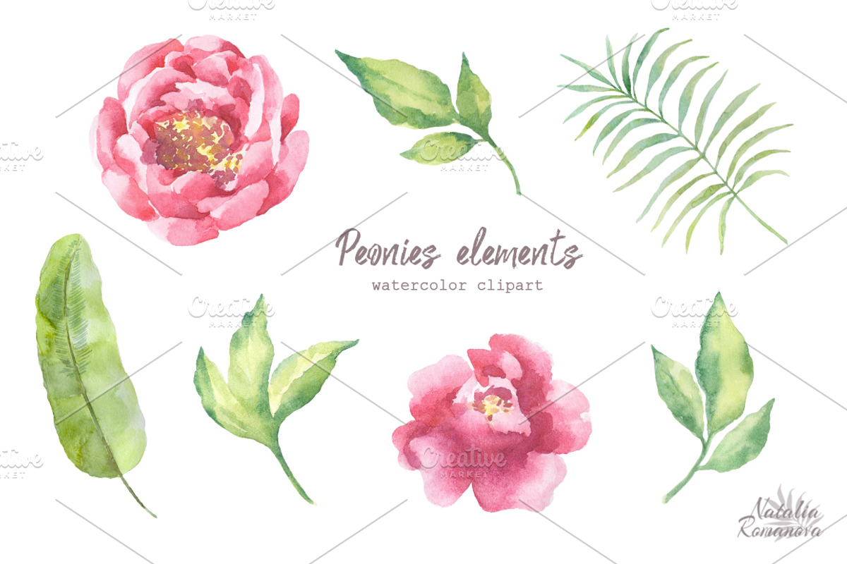 Watercolor Peonies set, a Decorative Illustration by BrushArtDesigns (Photo 3 of 9)