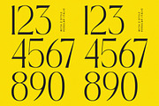 Qignals Modern Serif Font, a Serif Font by timelesstype.co (Thumbnail 11 of 20)