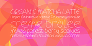 Blumenkind, a Handwritten Font by Catharsis Fonts (Thumbnail 3 of 6)
