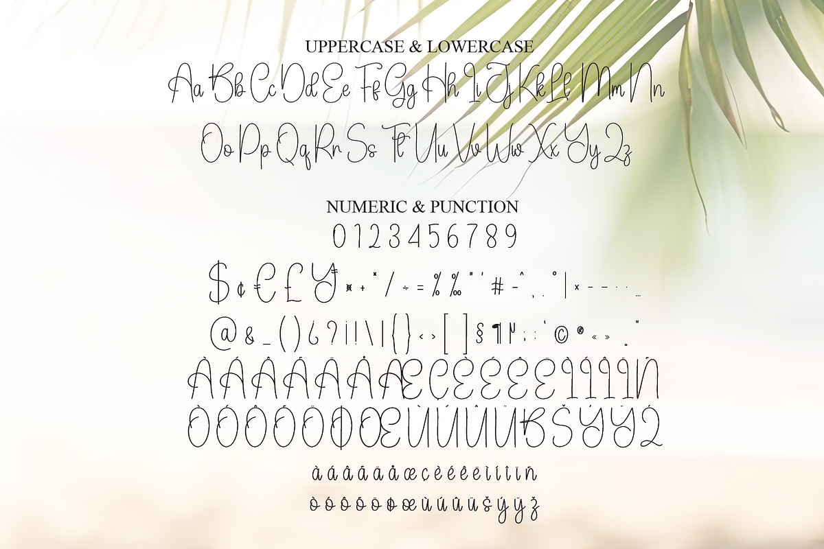 Holiday | Script Font, a Handwritten Font by Scratchones (Photo 7 of 9)