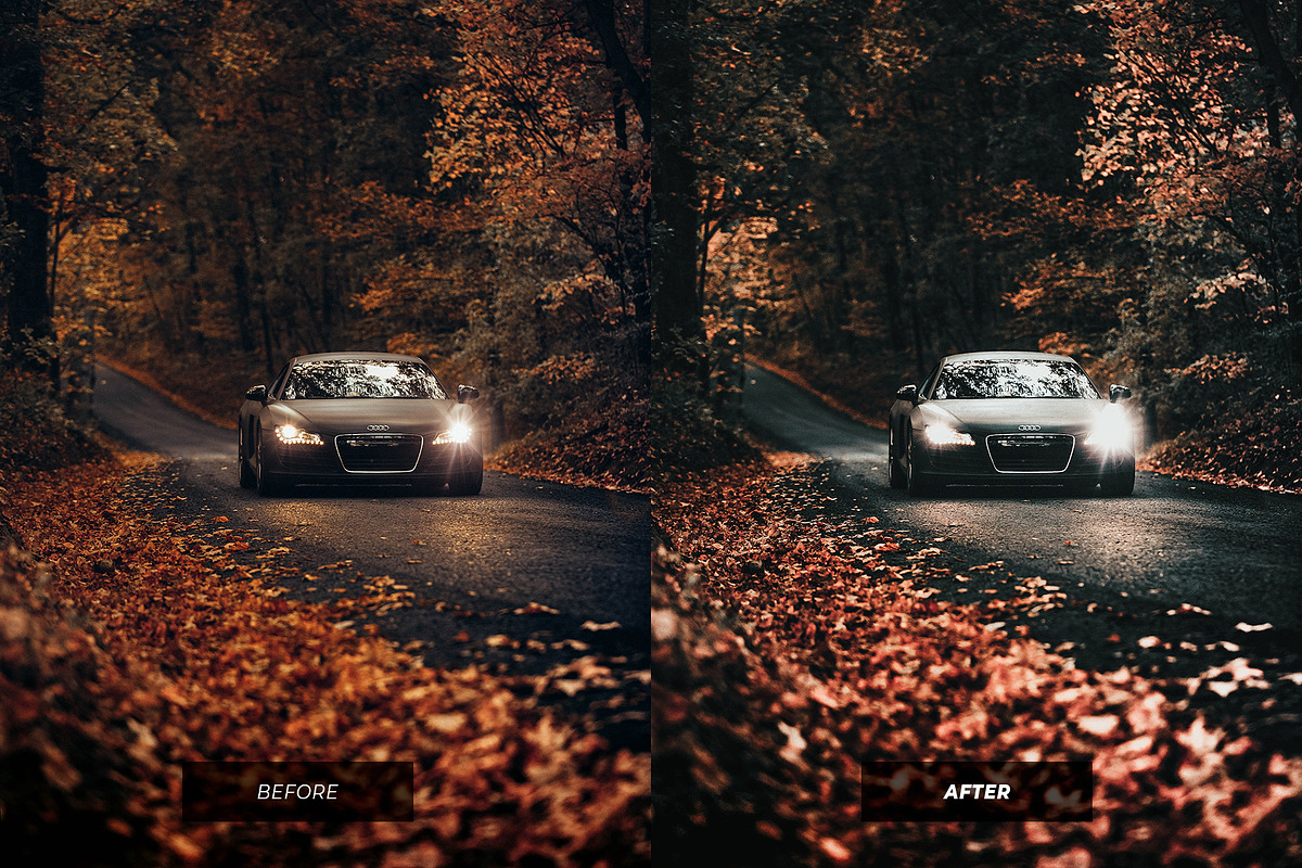 Luxury Black Lightroom Presets, an Action Add-On by Lavinsky Art Store (Photo 9 of 11)