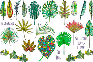 Watercolor palm leaves clipart