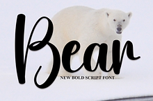 Bear | Script Font