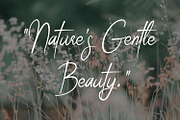 Celestial Grace, a Handwritten Font by Fernande (Thumbnail 5 of 7)