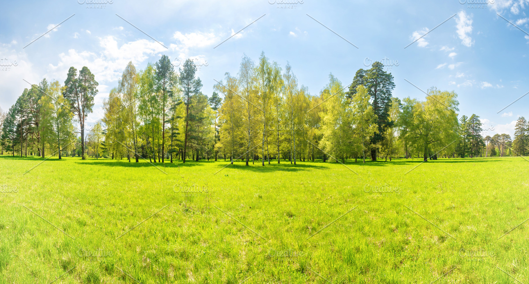 Green park panorama, a Nature Photo by Vapi