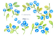 Blueberries, watercolor clipart, a Decorative Illustration by EshaStudio (Thumbnail 1 of 11)
