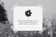 Wild Bloom: 70 Textured Flowers Pack, a Decorative Illustration by Veyla (Thumbnail 15 of 15)