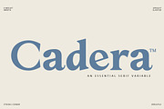 Cadera Serif | 162 Font Files, a Serif Font by Ws Studio (Thumbnail 1 of 12)