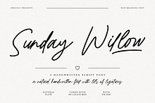 Sunday Willow Handwritten Script