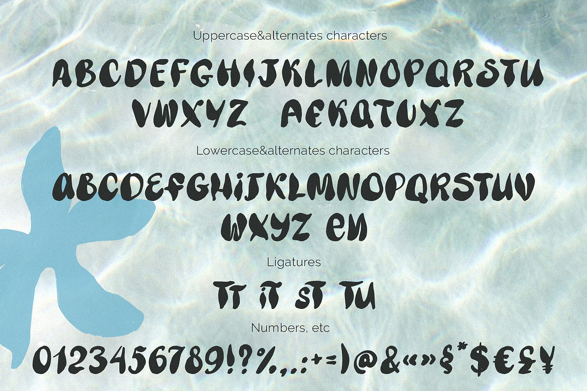 Coastal soul wavy handwritten font, a Handwritten Font by TD fonts (Photo 5 of 13)