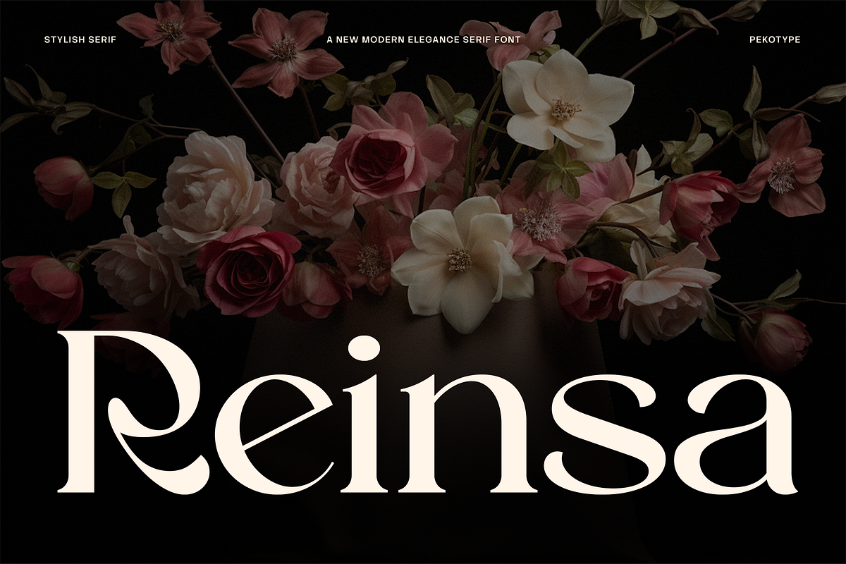 Reinsa - Elegant Modern Logo Font, a Sans Serif Font by Pekotype (Photo 1 of 15)