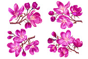 4 Apple Tree Flower Branches, an Illustration by MarynaPetrovska (Thumbnail 2 of 14)
