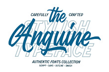 Anguine - Stylish Typeface