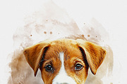 Custom Watercolor Pet Template, an Action Add-On by MRI STUDIO (Thumbnail 22 of 23)