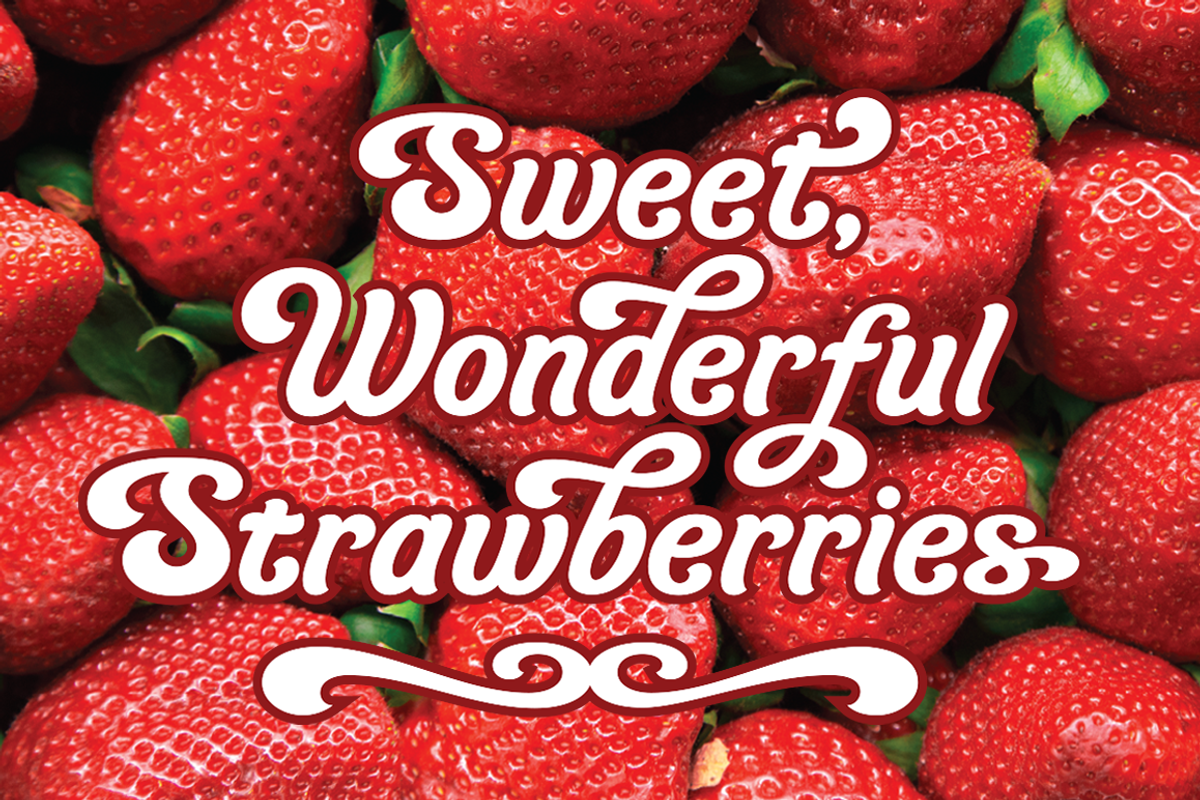 Organic Cotton, a friendly font preview 5