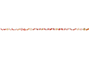 Sausages set. Fresh raw sausages one, a Food Illustration by GraphiShop