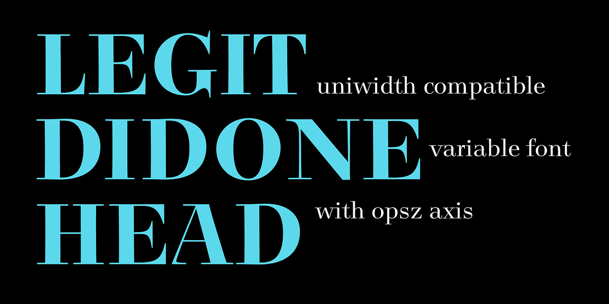 Legit Didone Head, a Serif Font by Finaltype (Photo 1 of 14)