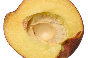 A juicy half of a ripe smooth nectarine with a hole in the cente, a Food & Drink Photo by ndanko