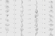 Procreate flower stamp, garden, a Brush Add-On by AnnaPolitmerskaja (Thumbnail 4 of 4)