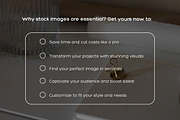 Real Photography Stock Collection, a Photo by VISTYLE STUDIO (Thumbnail 3 of 7)