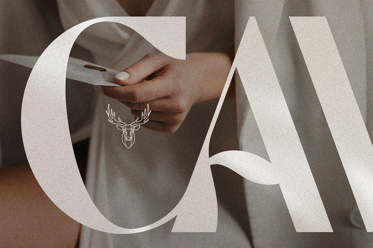 March Evoked - Creative Display Font, a Sans Serif Font by SilverStag Type Foundry (Photo 18 of 26)