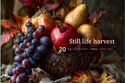 Still Life Harvest, a Food & Drink Photo by Picturesque Stories (Thumbnail 1 of 7)