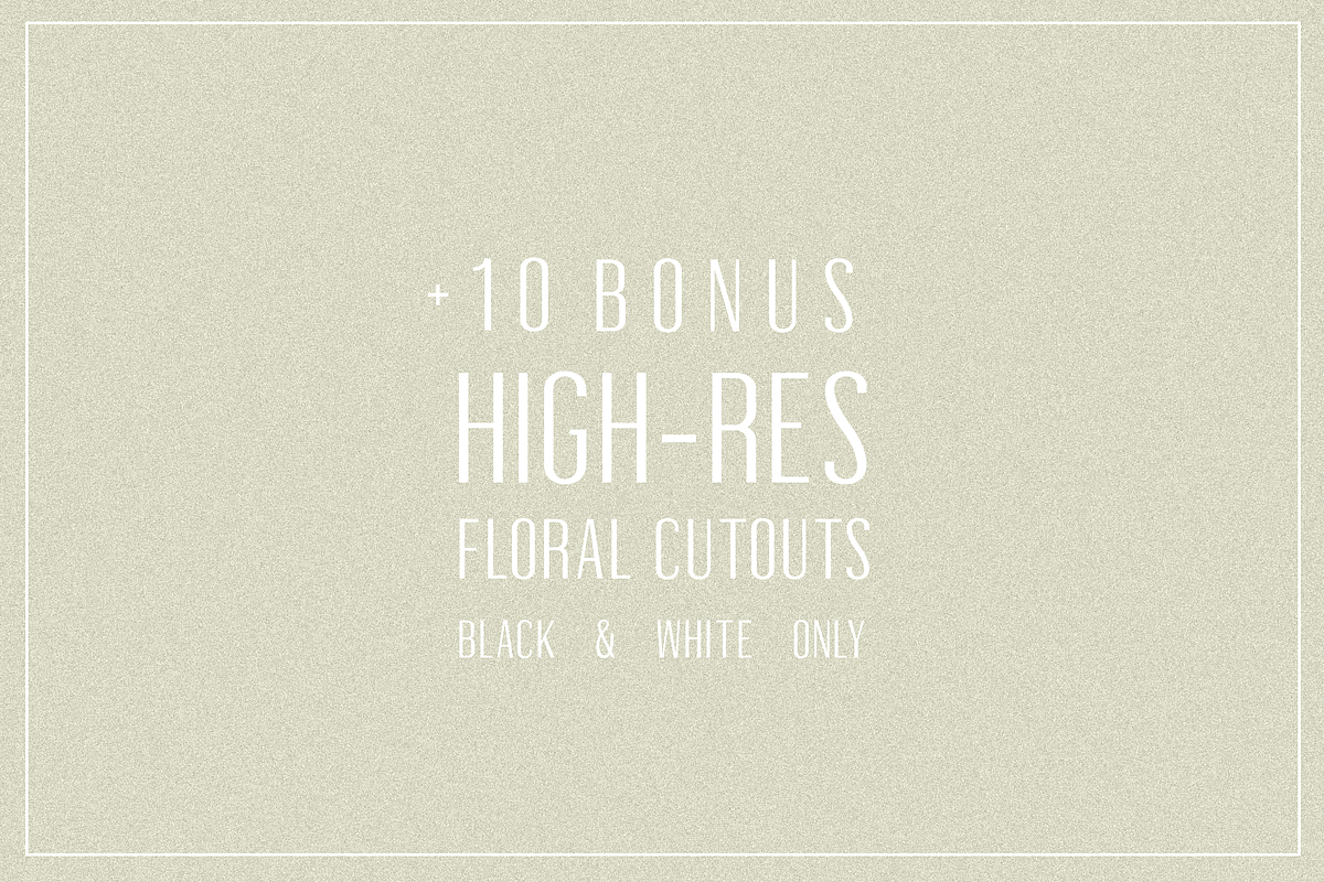 Oleander | Sans-Serif + 10 Cutouts, a Sans Serif Font by Karissa Macapagal (Photo 9 of 10)