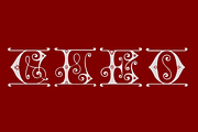 Cleo, a Serif Font by Intellecta Design (Thumbnail 2 of 4)
