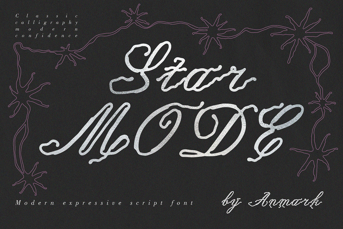 Star Mode Modern Expressive Script, a Script Font by AnMark (Photo 1 of 13)