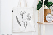 Fresh Herbs Line Drawings & Patterns, an Illustration by kittyShark Creative (Thumbnail 3 of 9)