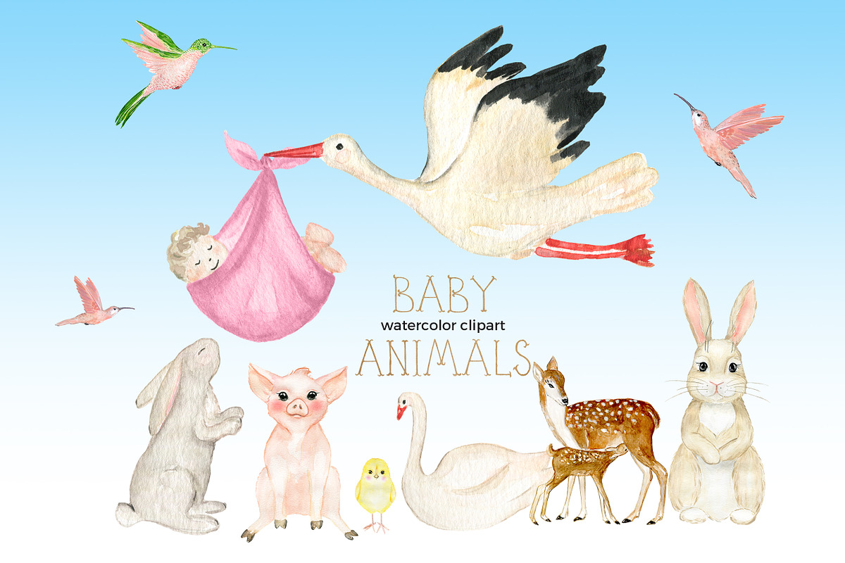 Baby Crest Creator Watercolor, an Illustration by LABFcreations (Photo 8 of 32)