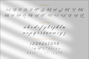 Paperlight Script - Calligraphy Font, a Script Font by PutraCetol Studio (Thumbnail 7 of 11)