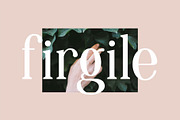 Marcello, a Serif Font by Humaira_std (Thumbnail 5 of 7)