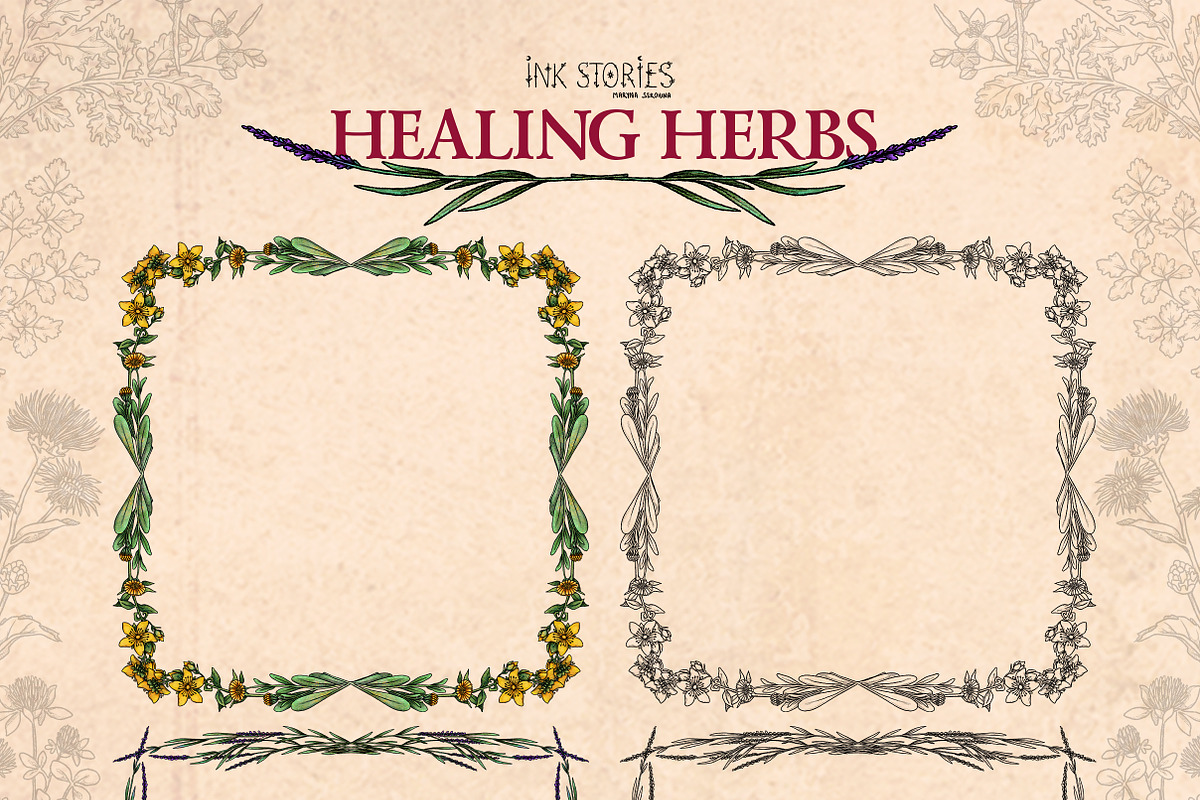 Healing Herbs * Botanical Bundle, a Healthcare Illustration by Ink Stories (Photo 11 of 13)