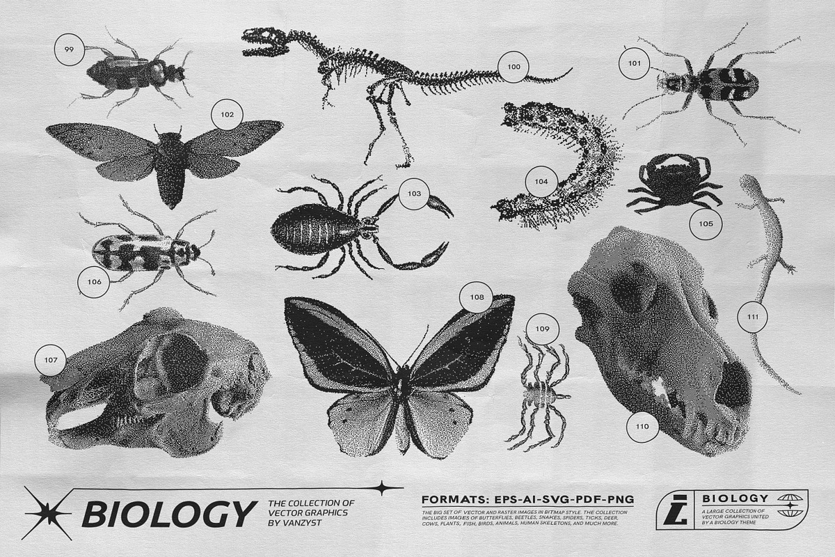 125 Vector Bitmap Assets. Biology, a Graphic by Vanzyst (Photo 10 of 16)