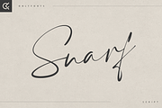Snarf modern script, a Script Font by Only Fonts (Thumbnail 1 of 10)
