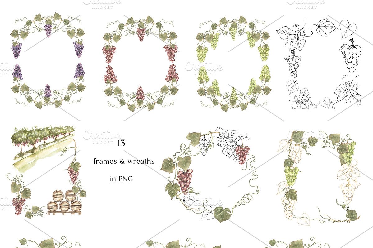 Watercolor Grapes Collection, a Decorative Illustration by MayaNavits (Photo 6 of 9)