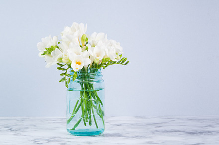 White Fressia Flowers, a Background Photo by Siân C Photography