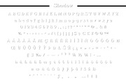 Fox Bravion, a Serif Font by Fox7 By Rattana (Thumbnail 11 of 16)