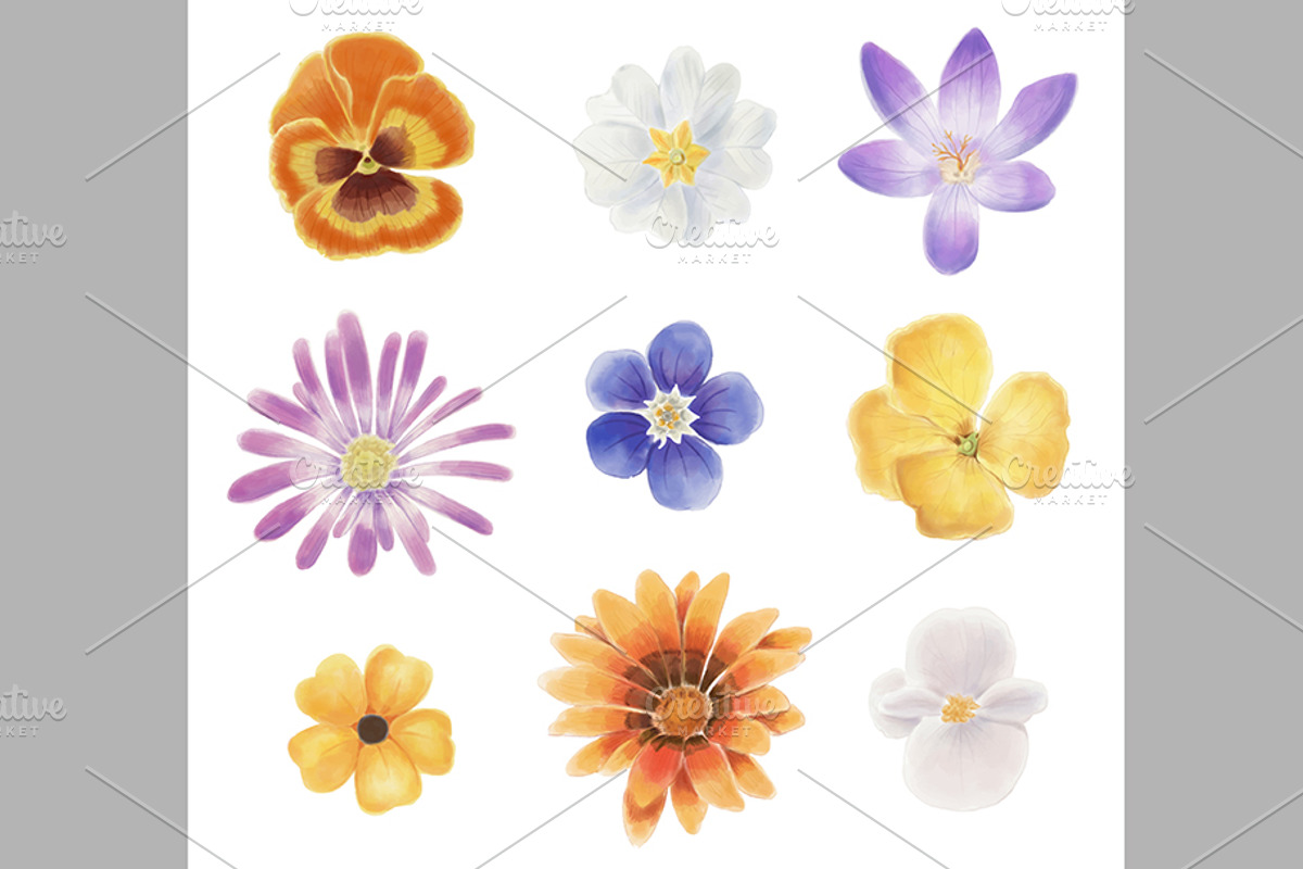 Watercolor spring flowers, a Decorative Illustration by María Arencibia