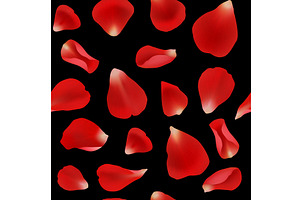Rose petals. beauty seamless, an Object Illustration by Onyx