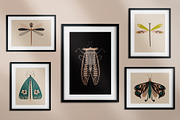 Folk Art Insects., an Animal Illustration by Annakniaz (Thumbnail 9 of 15)
