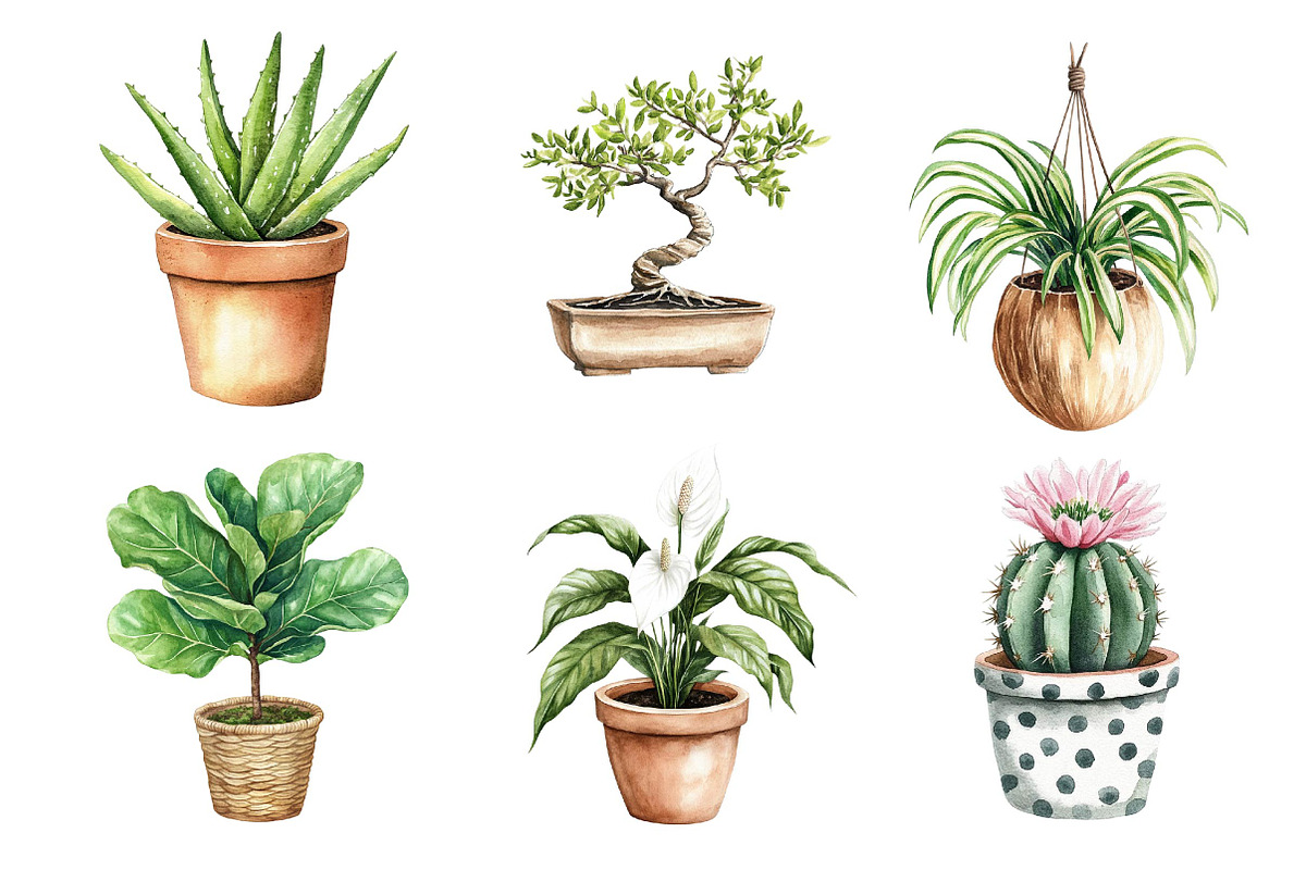 Watercolor Houseplant Clipart, an Illustration by CreationArt (Photo 2 of 5)