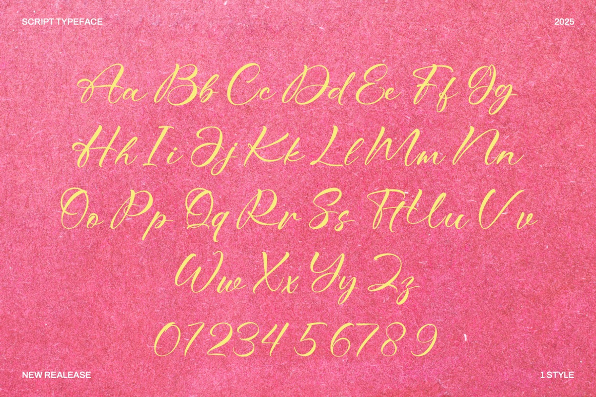 Bitteva Script - Classy Script Font, a Script Font by Dhabee (Photo 3 of 16)