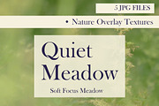 Quiet Meadow — Soft Focus Meadow, a Background Graphic by Aga Silva (Thumbnail 1 of 5)