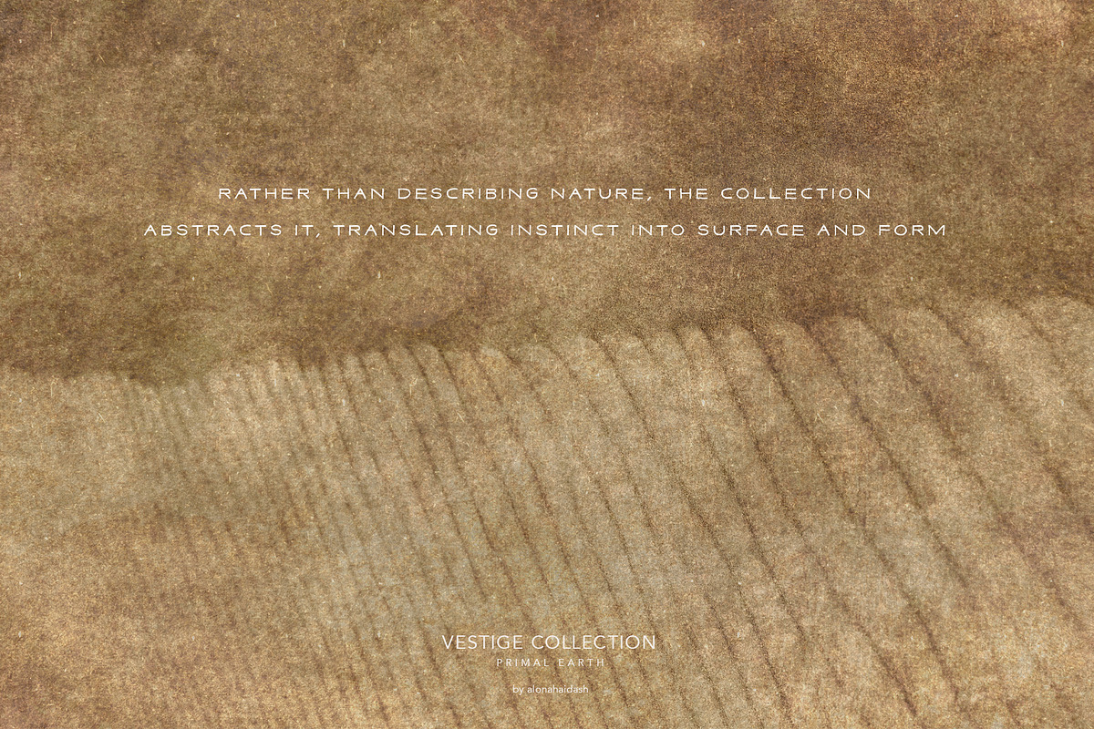 Vestige · Primal Earth Backgrounds, a Background Graphic by alonahaidash (Photo 16 of 16)